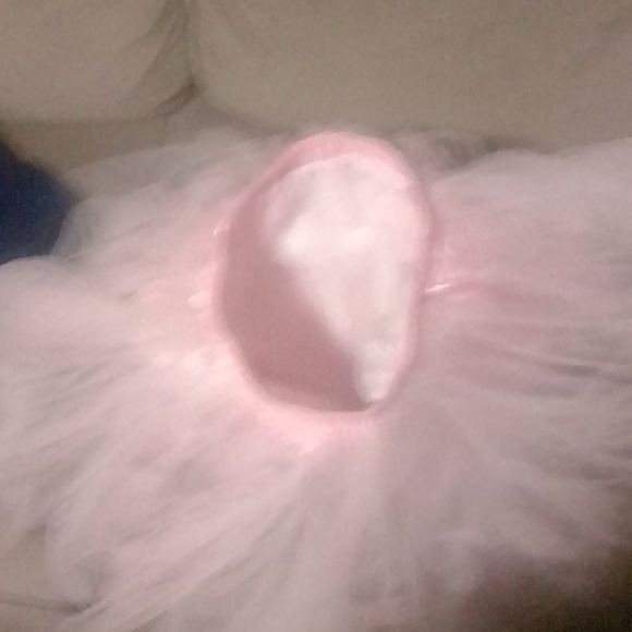 Pink mesh adult tutu - Picture 3 of 5